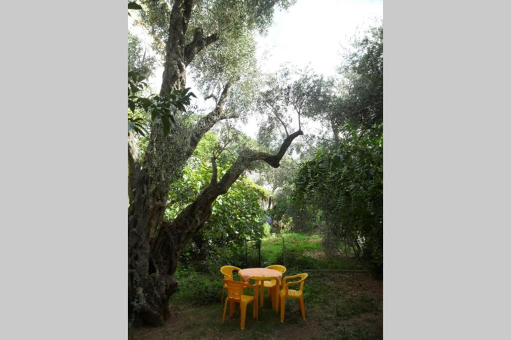 Bmv Room For 2-3 With Greenery View Sveti Stefan Ngoại thất bức ảnh